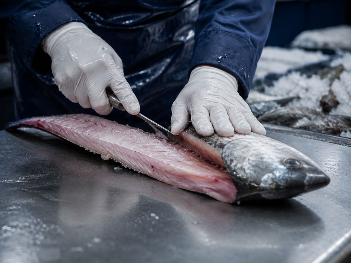 Preparación de pescado fresco
