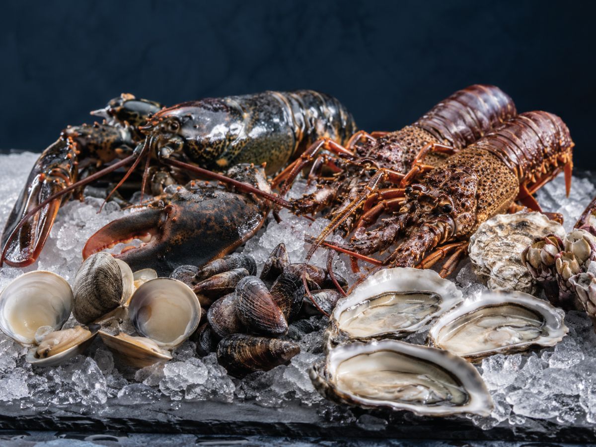 Mariscos frescos
