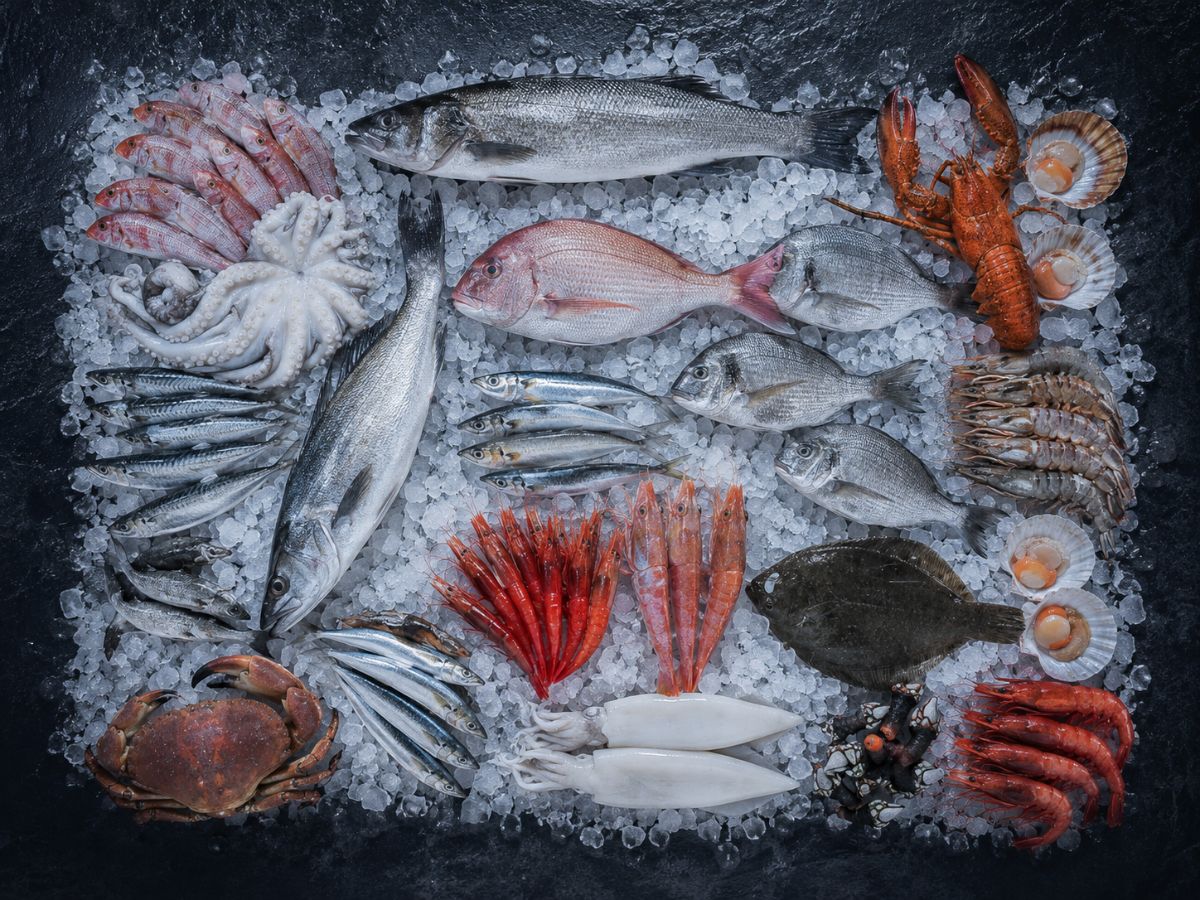 Pescado fresco